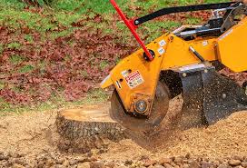 Best Tree Mulching  in Tremonton, UT