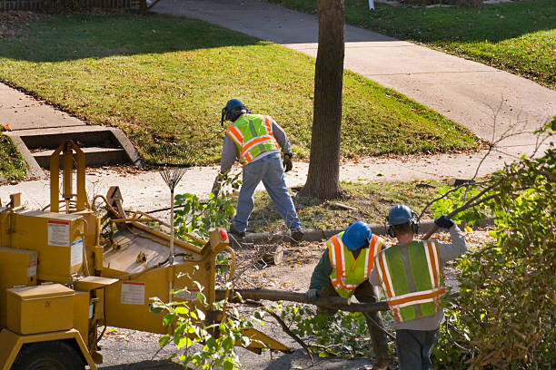 Best Lawn Pest Prevention  in Tremonton, UT